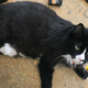 My Pussy Is on a Journey of Self-Discovery